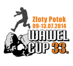 33. Wawel Cup