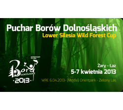 Puchar Borów Dolnośląskich 2013